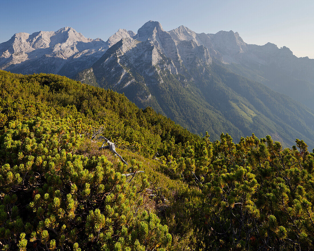 Grubhoerndl in front of Loferer Steinberge in the evening light, Ochsenhorn, Breithorn, Rothorn, Loferer Alp, Salzburg, Austria, Europe