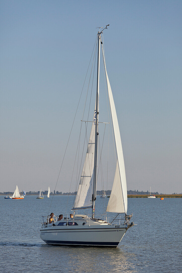 Segelboot in der Ruster Bucht, Neusiedlersee, Burgenland, Österreich