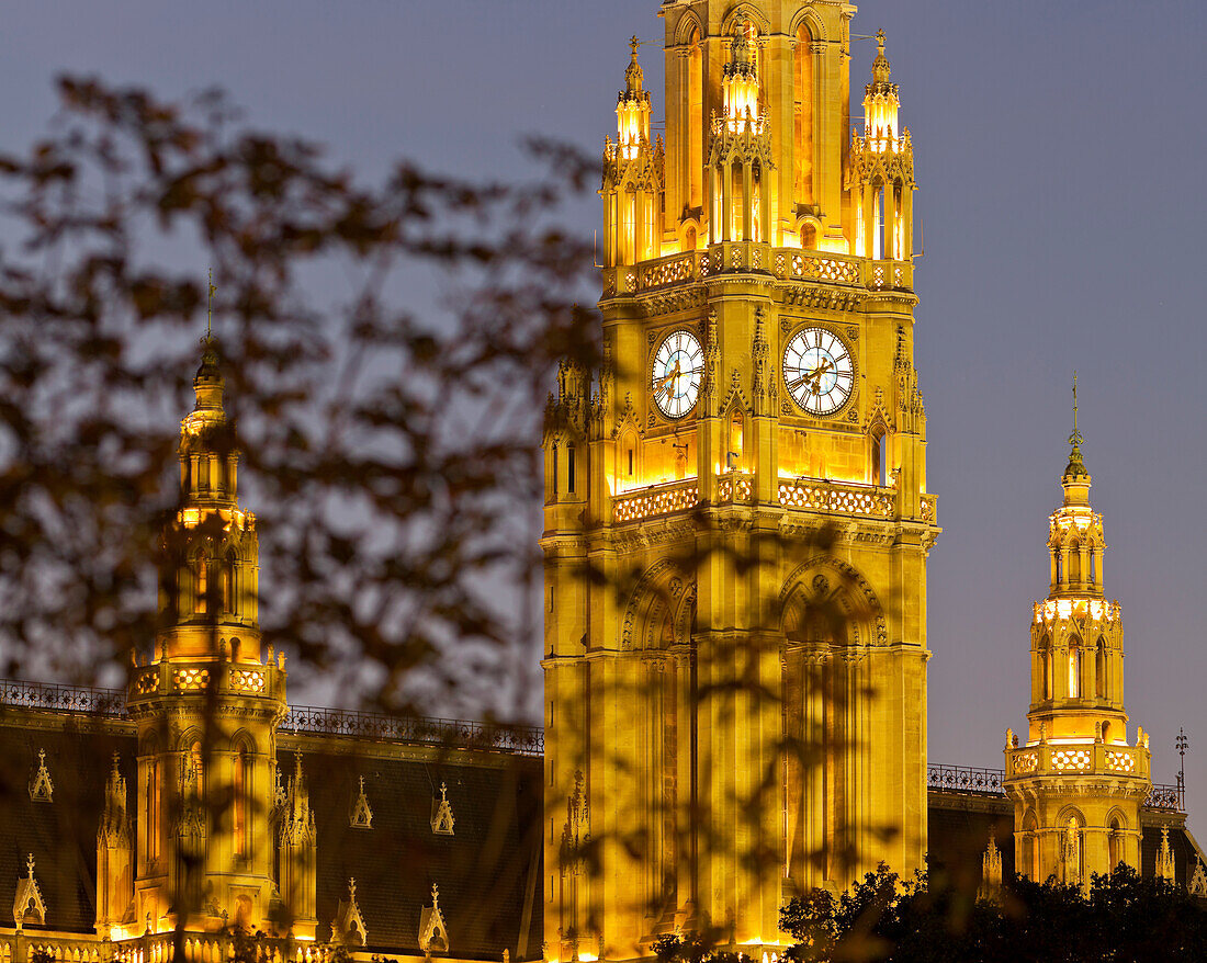 Rathaus bei Nacht, 1. Bezirk, Innere Stadt, Wien, Österreich