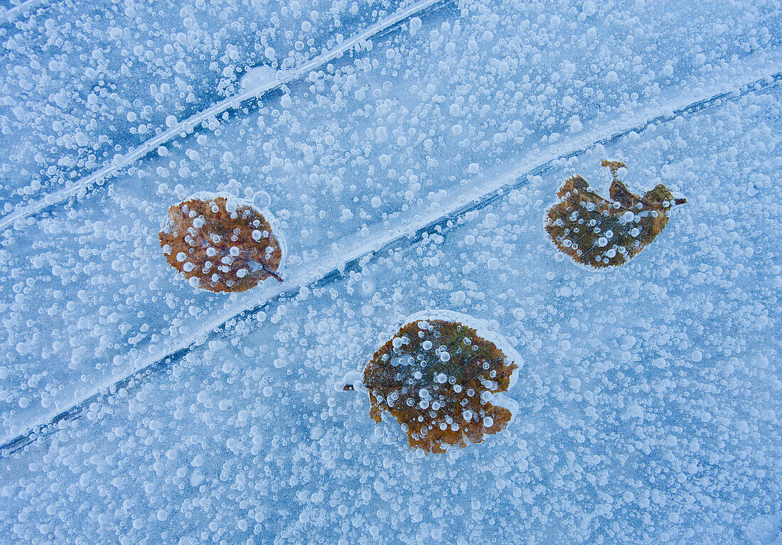 Ice structures and patterns on a frozen lake, Spiegelsee, Schladminger Tauern, Styria, Austria