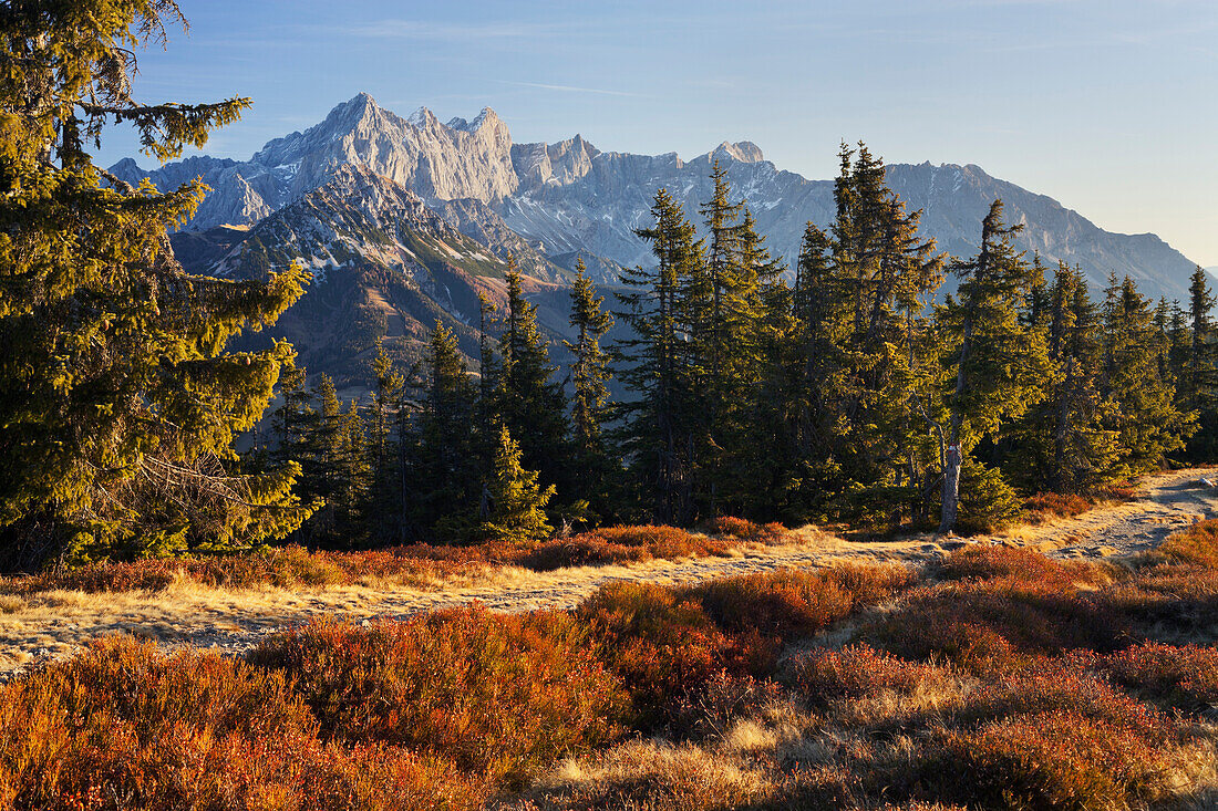 Blick vom Rossbrand auf den Dachstein, Radstadt, Salzburg, Österreich