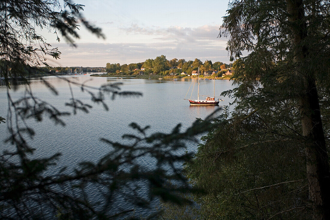 Blick vom Südufer der Schlei auf das Dorf Missunde, Schlei, Schleswig-Holstein, Deutschland, Europa