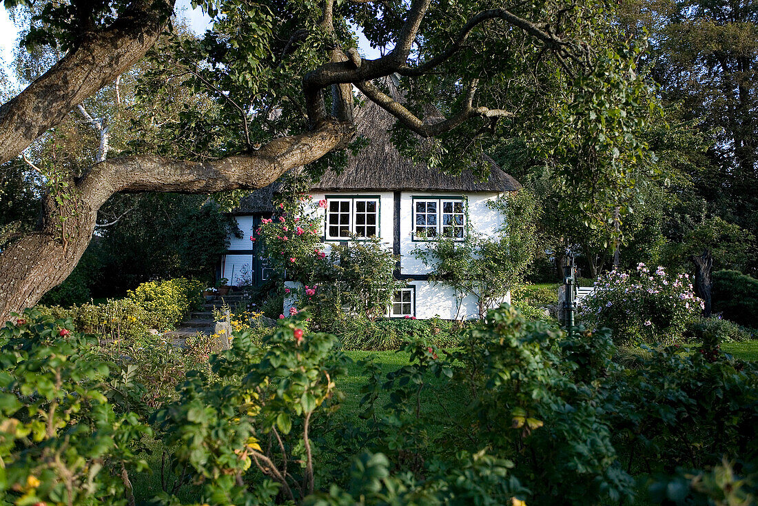 Altes Fachwerkhaus mit Garten, Sieseby, Schlei, Schleswig-Holstein, Deutschland, Europa