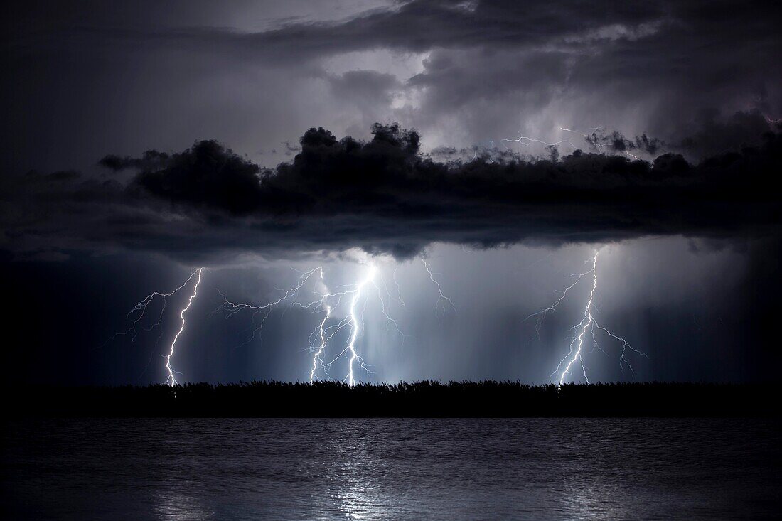 Lightning in Illa de Buda, Natural Park of Delta de l´Ebre, Tarragona, Spain