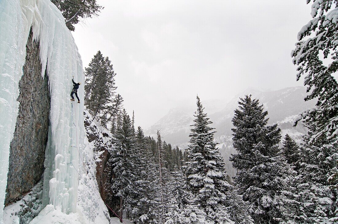 Mark Hauter ice climbing a route called Genesis which is rated WI, 5 and located in Hyalite Canyon near the city of Bozeman in western Montana