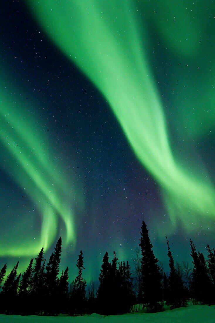 Aurora Borealis Northern Polar Lights over the boreal forest outside Yellowknife, Northwest Territories, Canada, MORE INFO The term aurora borealis was coined by Pierre Gassendi in 1621 from the Roman goddess of dawn, Aurora, and the Greek name for north