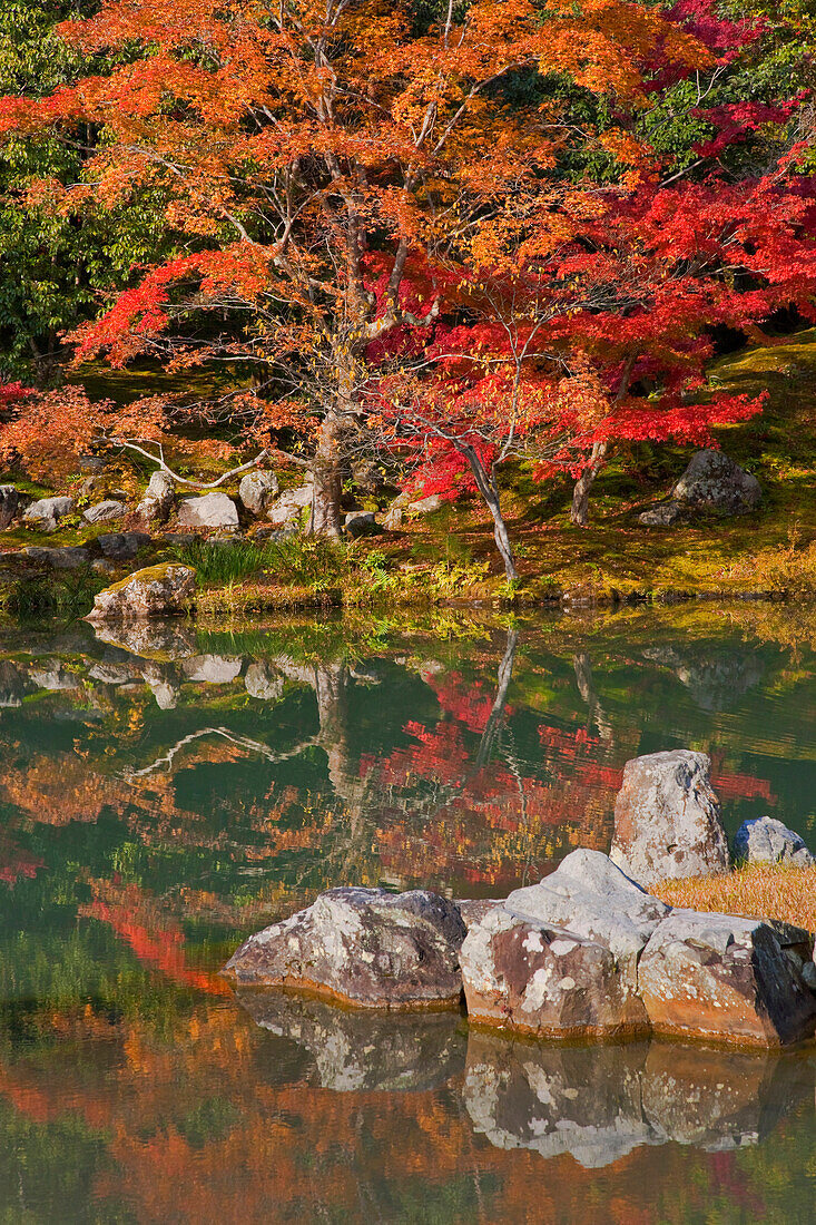 Autumn colors reflect in the still pond of Sogen Garden at Tenryuji Temple, located in the Arashiyama district of northwestern Kyoto, Japan.
