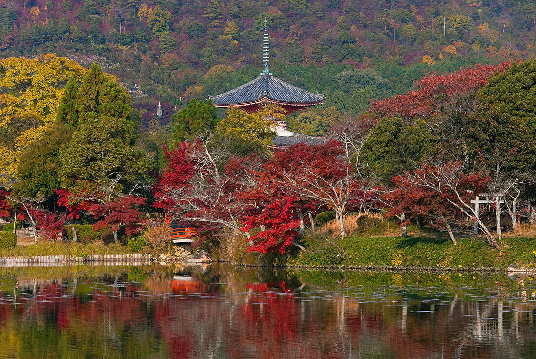A telephoto view shows the pagoda of Gosha Myojin Shrine and Osawa-no-ike pond (said to be the oldest garden pond in Japan), located at Daikakuji Temple, a World Heritage Site in northwestern Kyoto, Japan.
