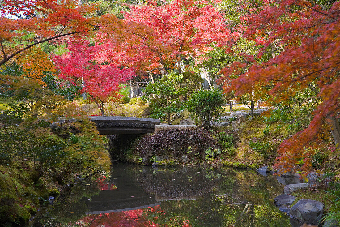 A wood-and-earthern bridge connects an islet in Shinji Pond in the Eastern Garden at Tojiin Temple, located in the northern part of Kyoto, Japan.