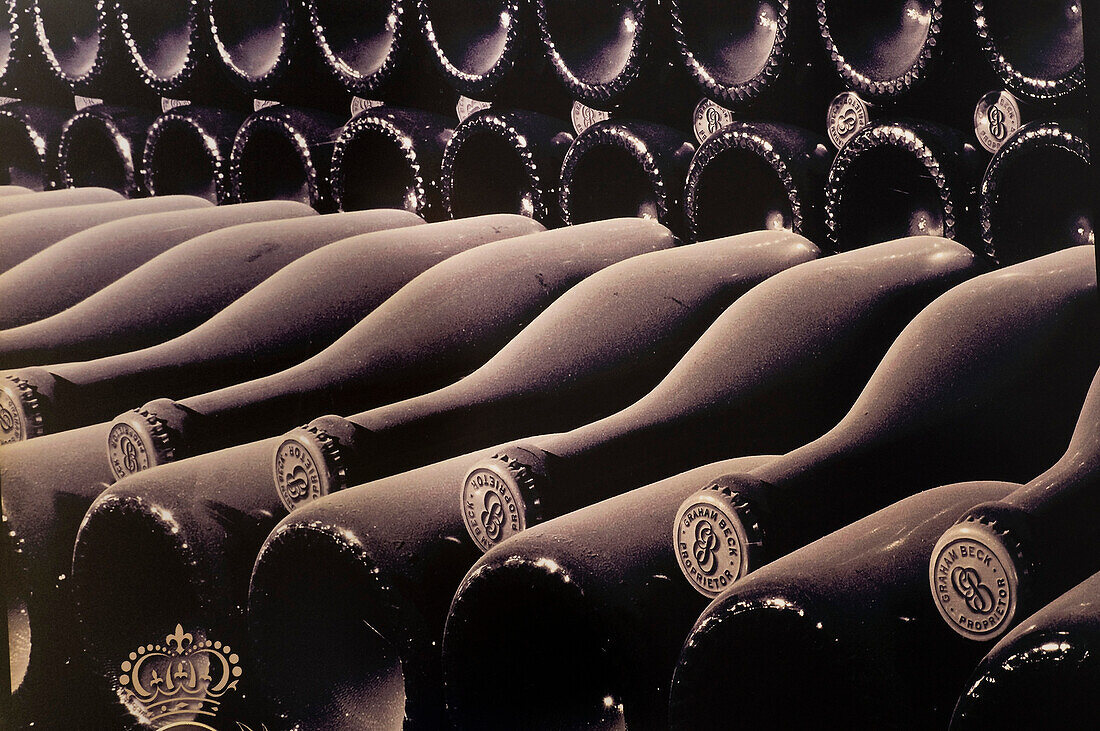 South Africa, Western Cape Province, Winelands, Franschhoek valley, Wine road, Graham Beck Estate (1983), picture of bottles