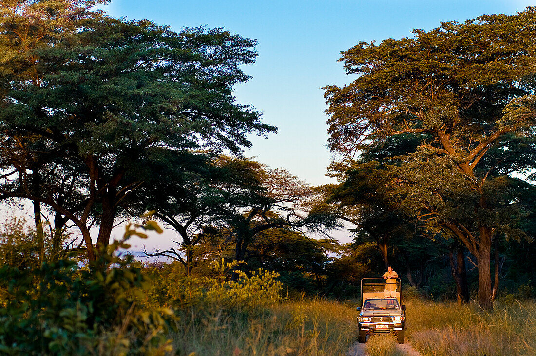 Africa, Zimbabwe, North Matabeleland province, Hwange National Park, safari