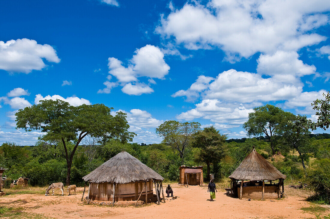 Africa, Zimbabwe, North Matabeleland province, the Ndebele village Mabale