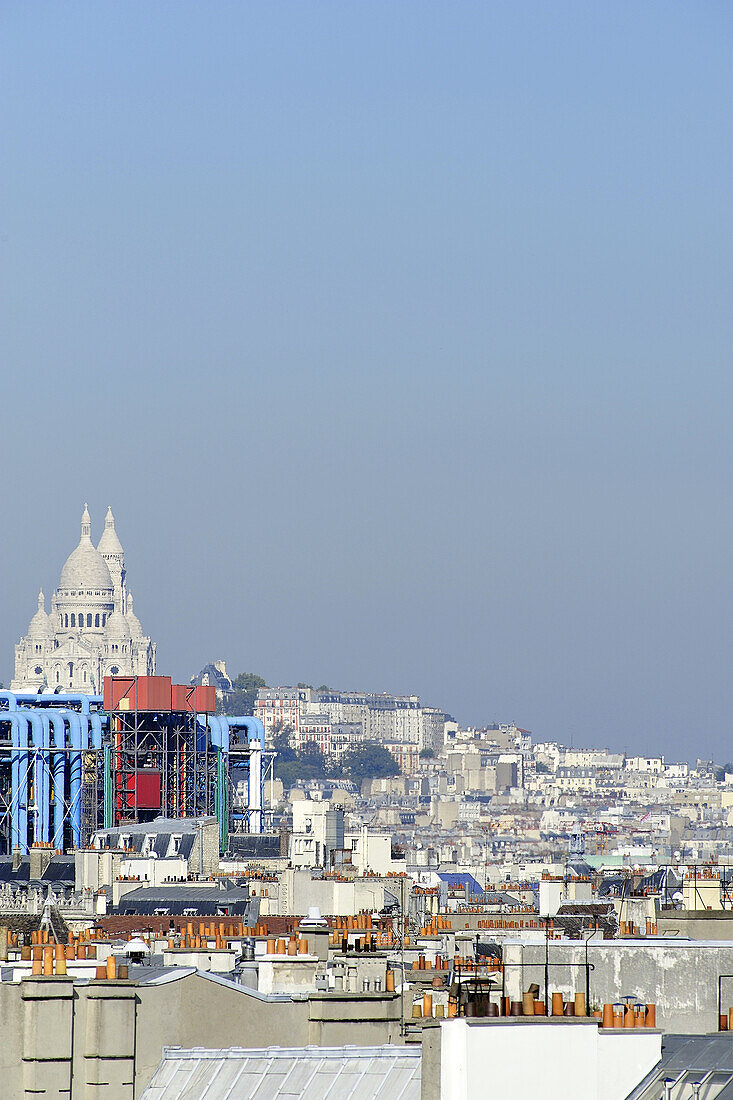 France, Ile-de-France, Capital, Paris, 4th, City center, plunging View(Sight) (seen since Notre-Dame)