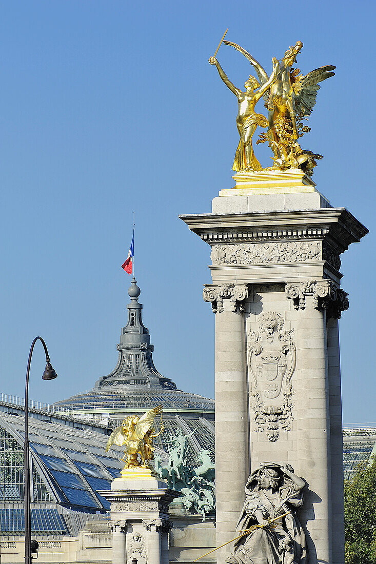 France, Ile-de-France, Paris, 7th, City center, Bridge(Deck) Alexandre III