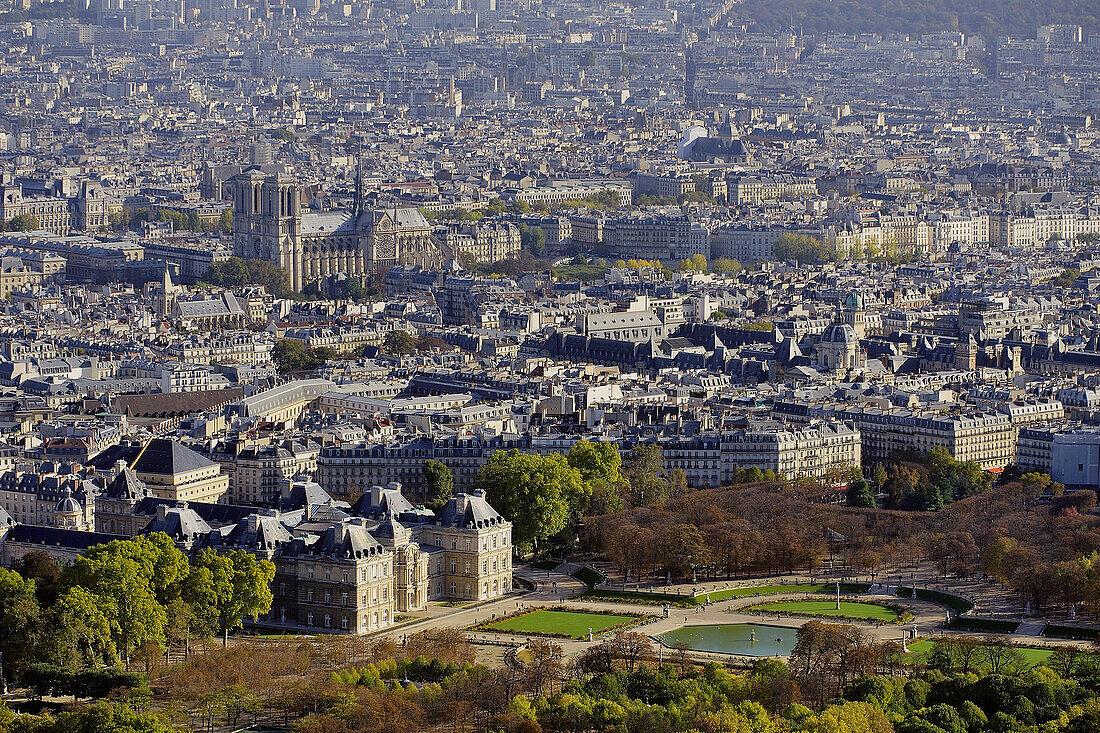 France, Ile-de-France, Capital, Paris, 6th, City center, plunging View(Sight), The Senate, Garden of the Luxembourg