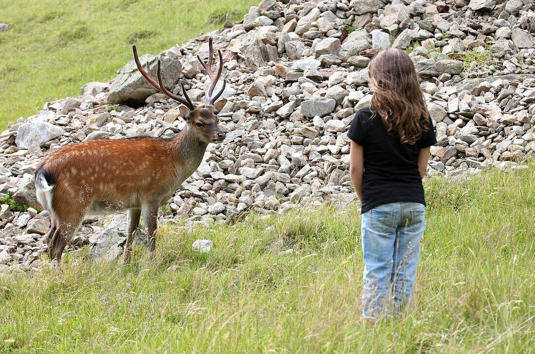 Child in Merlet wildlife park. Les Houches. France. (Les Houches, Haute-Savoie, France)