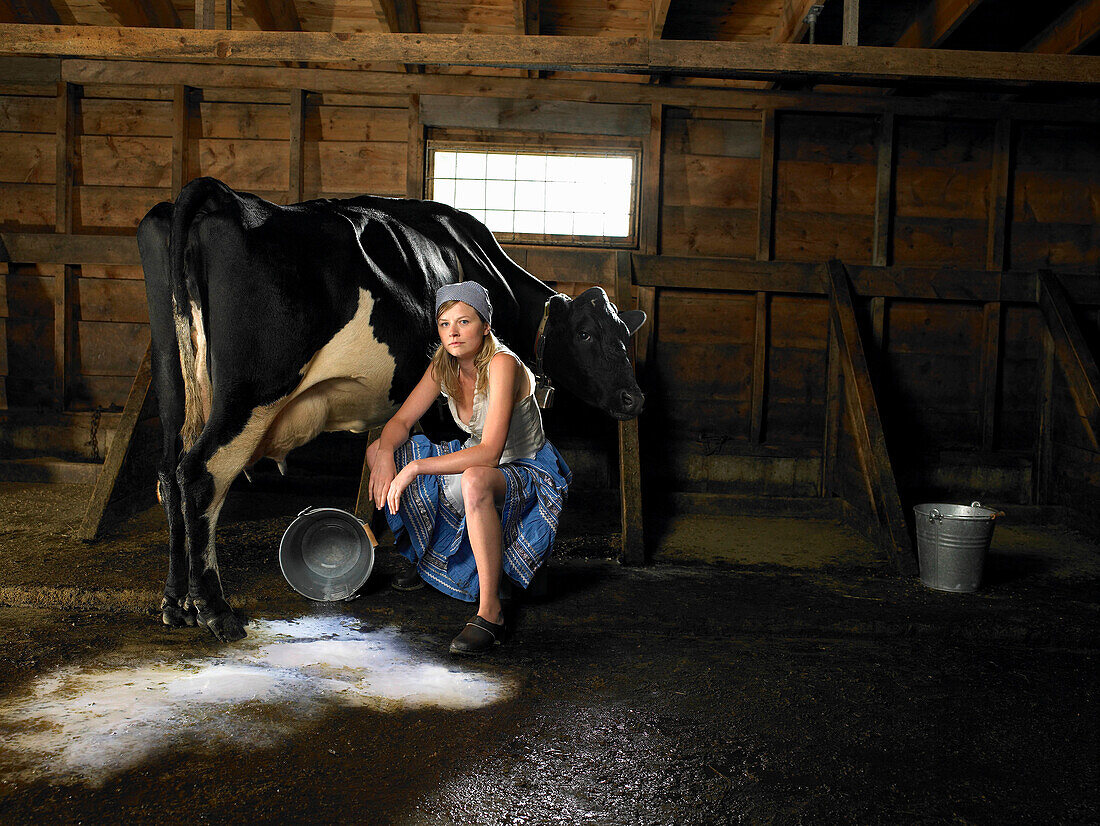 Milkmaid and cow in barn with spilt milk. Young woman sitting next to cow in barn. There is spilt milk on the floor. Woman and cow is looking at camera.