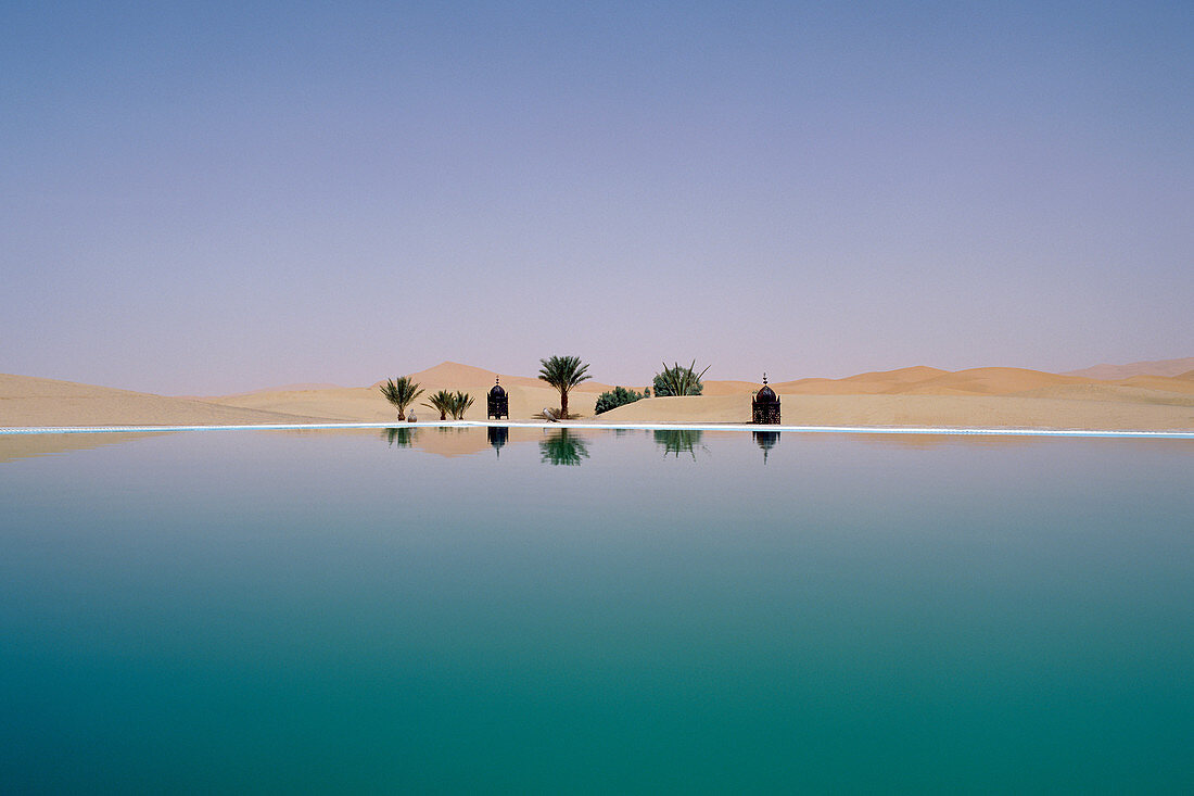 Palm tree reflection in desert. Palm tree reflection in desert