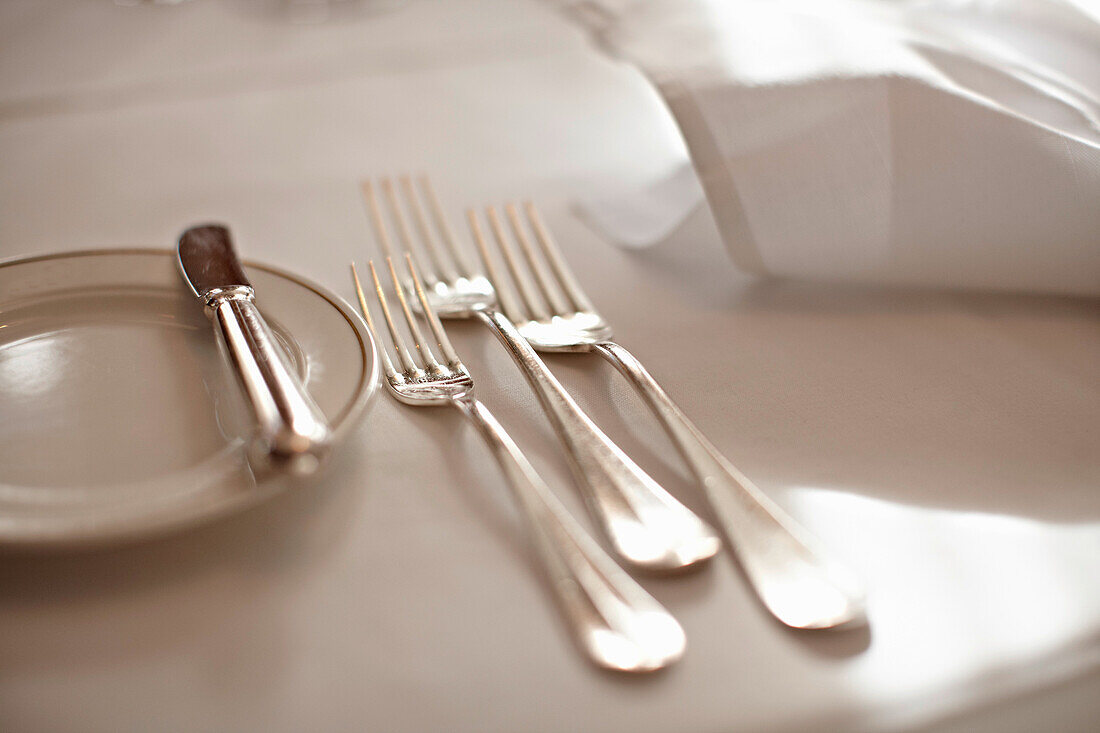 Close up of forks in place setting. Close up of forks in place setting