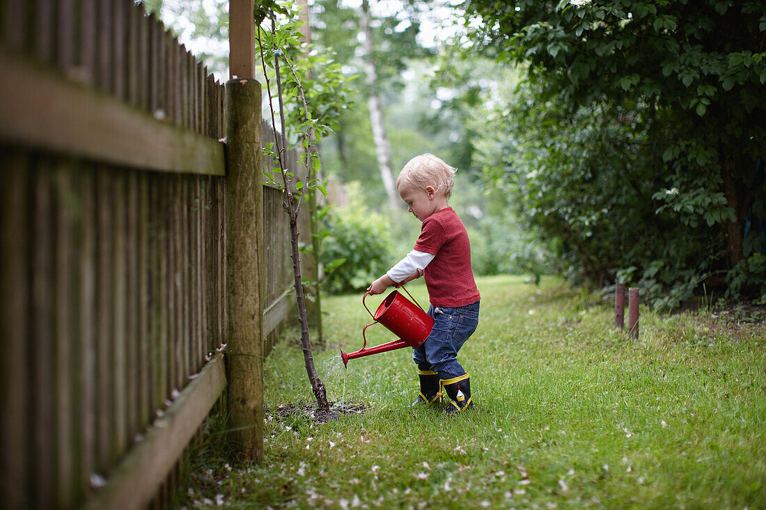 Toddler boy watering plants in backyard. Toddler boy watering plants in backyard