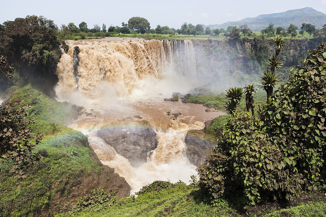 The waterfalls of the Blue Nile called Tis Isat in Ethiopia towards the end of the rainy season  Around rainy season Tis Isat translated water that smokes are considered to be the second largest waterfalls in Africa  A bit after Lake Tana the blue nile po