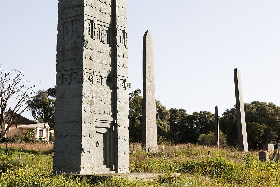 The Rome Stele, northern stelae field, Aksum  The Rome Stele was stolen by the italian forces during the occopation of Ethiopia and erected in Rome  After a long diplomatic fight the stele was given back to Ethiopia in 2005 and erected in 2008  The Aksumi