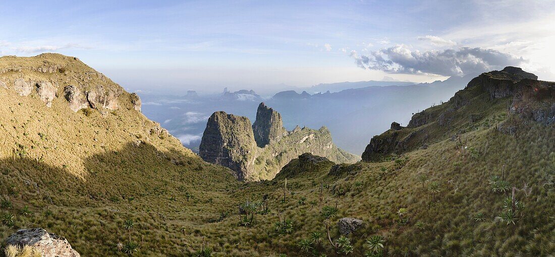 Landscape in the Simien Mountains National Park  View from peak Imet Gogo over the highlands, the escarpment and the lowlands of the National Park with the endemic Giant Lobelia Lobelia rhynchopetalum  Imet Gogo is the best known viewpoint in the Park  Th