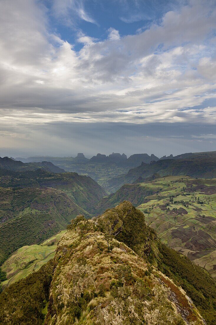 Landscape in the Simien Mountains National Park  AFter sunset at the escarpment near Chennek with a view of the escarpment, the peaks of Inatye and Imet Gogo and the valley of Ansiya Wenz  The Simien Semien, Saemen, Simen Mountains National Park is part o