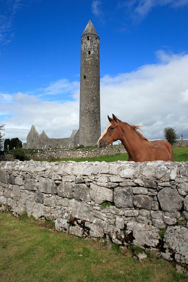Church 11-13 century, Round tower 12 century, Kilmacduagh, Galway county, Ireland