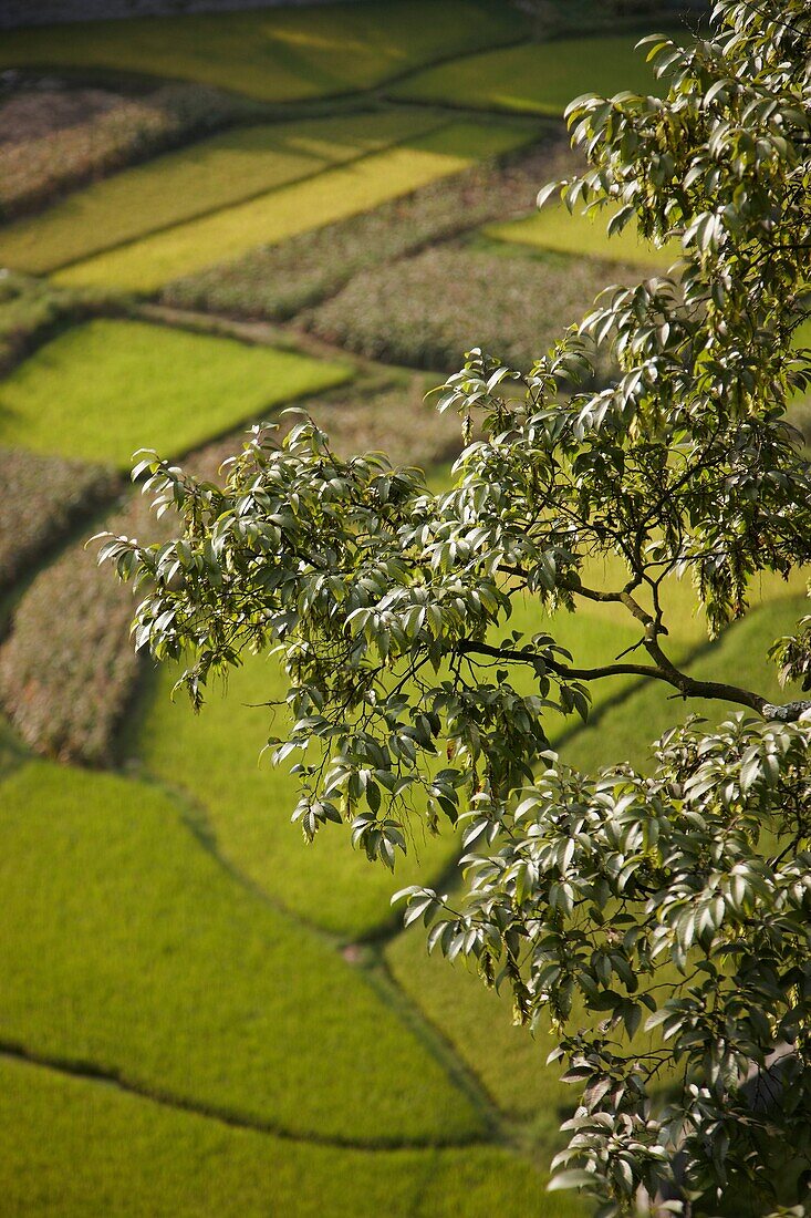 View from the Monastery of Wulong, Tianlong Tumpu, Guizhou, China