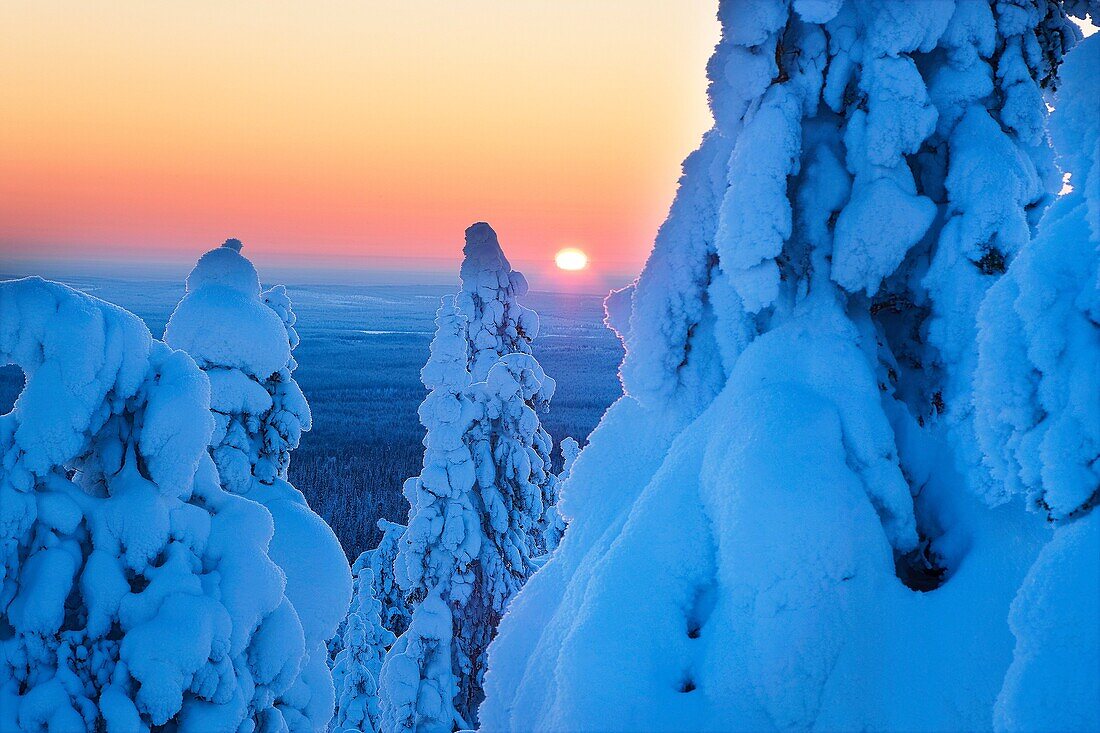 Winter landscape. Scandinavia