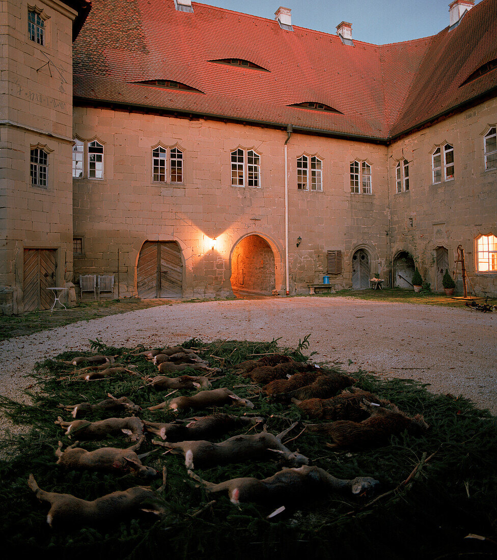 Strecke geschossenen Wilds im inneren Schlosshof, Schloss Frankenberg, Weigenheim, Mittelfranken, Bayern, Deutschland, Europa
