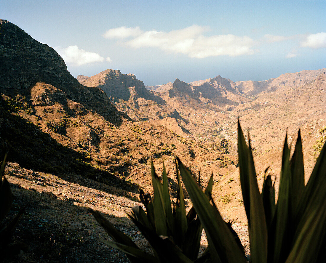 Blick über Sisal Agaven ins Tal Ribeira Principal, südlich Tarrafal, Insel Santiago, llhas do Sotavento, Republic Kap Verde, Afrika