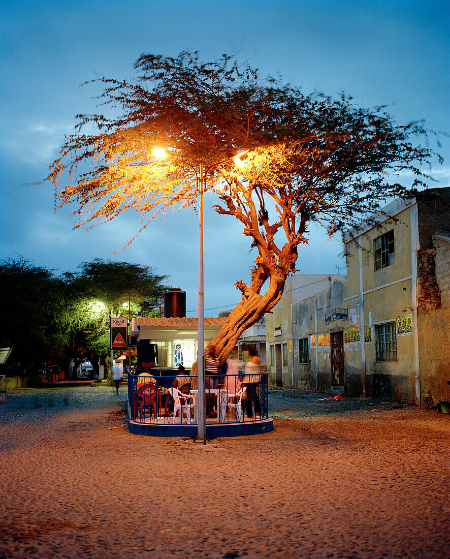 Bar unter einer Akazie am Abend, Praia de Dante, Sal Rei, Boa Vista, Ilhas de Barlavento, Republic Kap Verde, Afrika