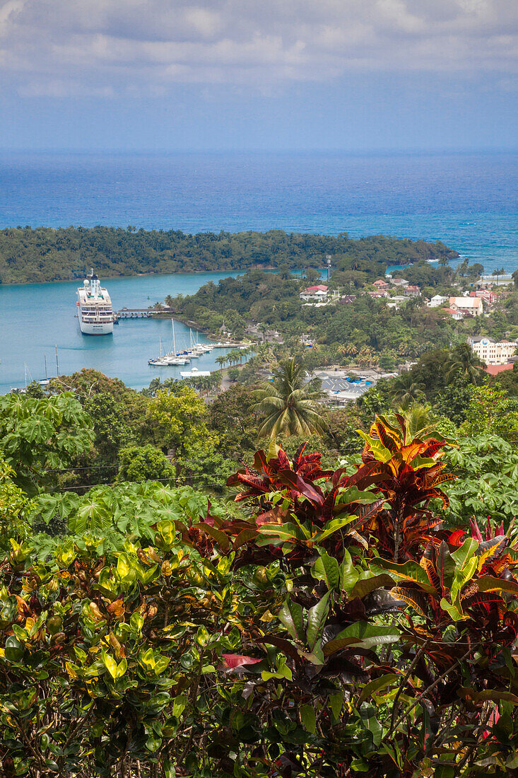 Tropische Pflanzen und Blick auf Kreuzfahrtschiff MS Deutschland (Reederei Peter Deilmann) im Hafen, Port Antonio, Portland, Jamaika, Karibik