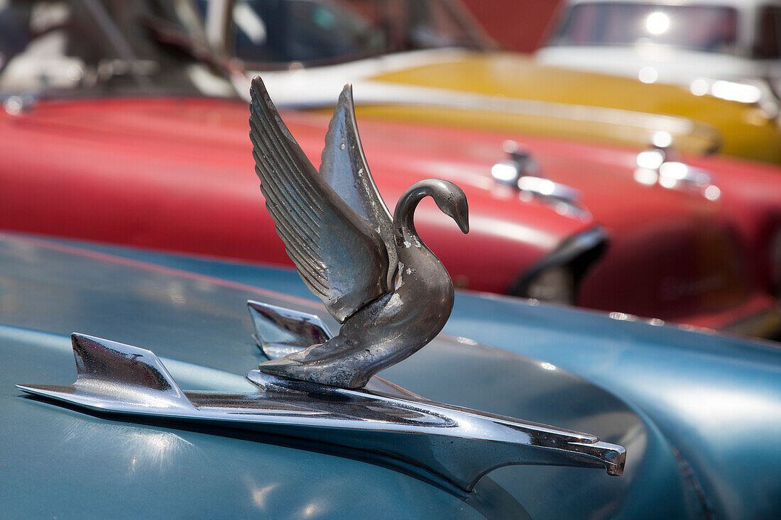 Dekoration auf Motorhaube von einem amerikanischen Oldtimer Auto, Santiago de Cuba, Santiago de Cuba, Kuba, Karibik