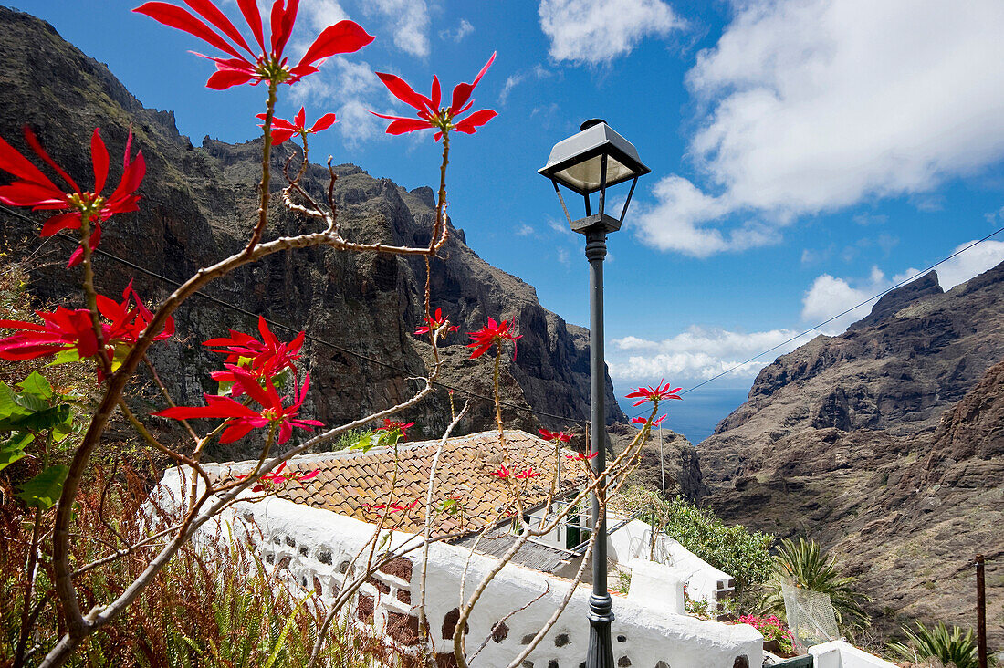 Bergdorf Masca im Teno Gebirge, Teneriffa, Kanarische Inseln, Spanien, Europa