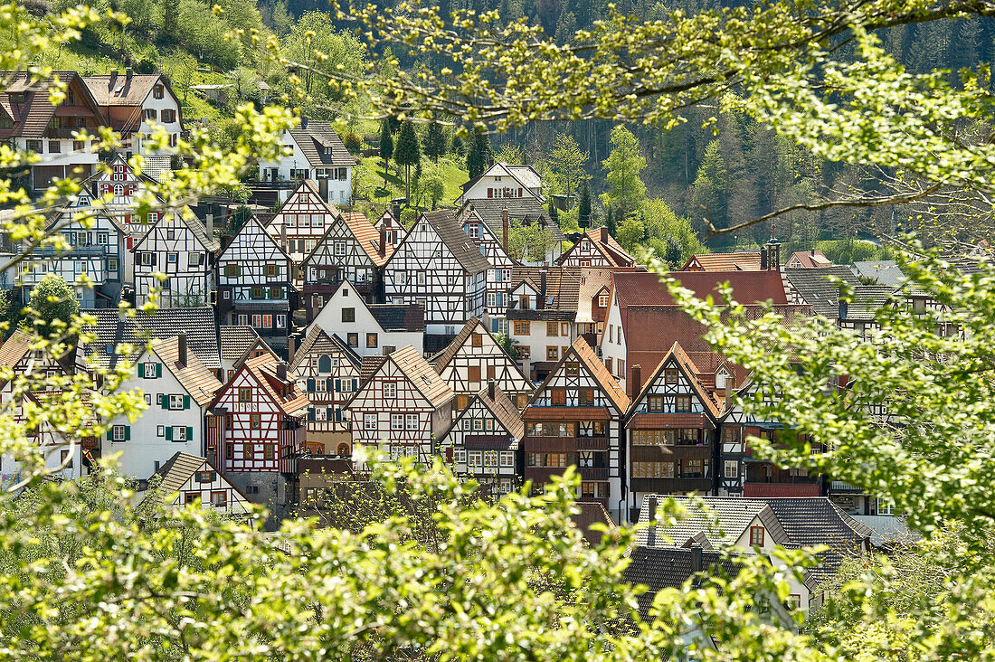 View of medieval inner city with half timbered houses, Schiltach, south of Freudenstadt, Black Forest, Baden-Wuerttemberg, Germany, Europe