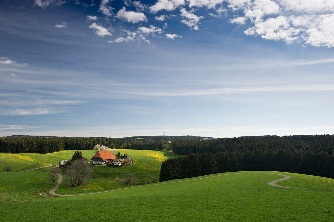 Oberfallengrundhof, traditionelles Bauernhaus, Schwarzwald, Baden-Württemberg, Deutschland, Europa