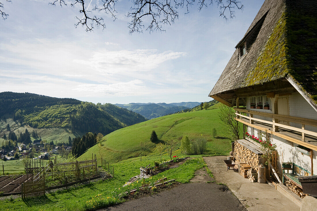 Traditional farmhouse at Muggenbrunn, Schauinsland, near Freiburg im Breisgau, Black Forest, Baden-Wuerttemberg, Germany, Europe