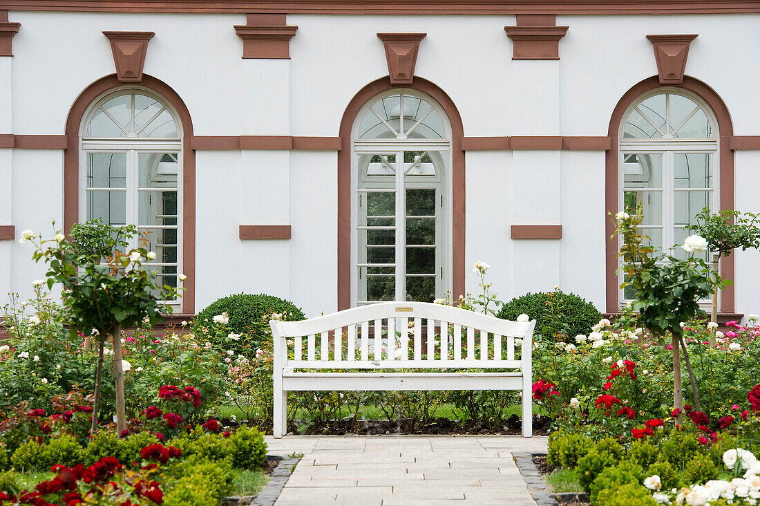 Garden bench at the Palmengarten, Frankfurt, Hesse, Germany, Europe
