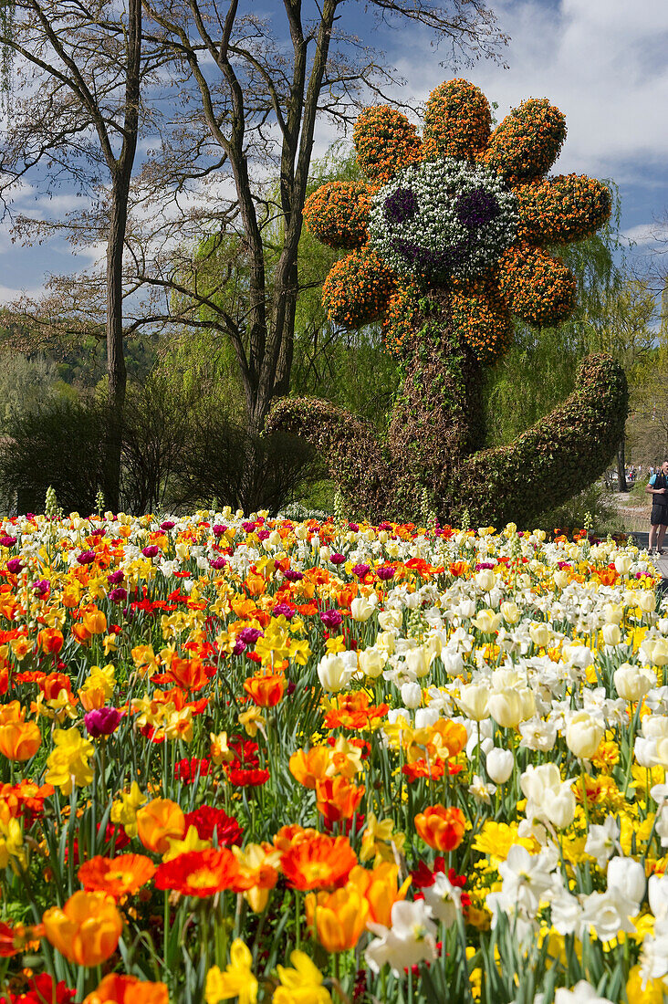 Flower sculpture, Mainau Island, Lake Constance, Baden-Wuerttemberg, Germany, Europe