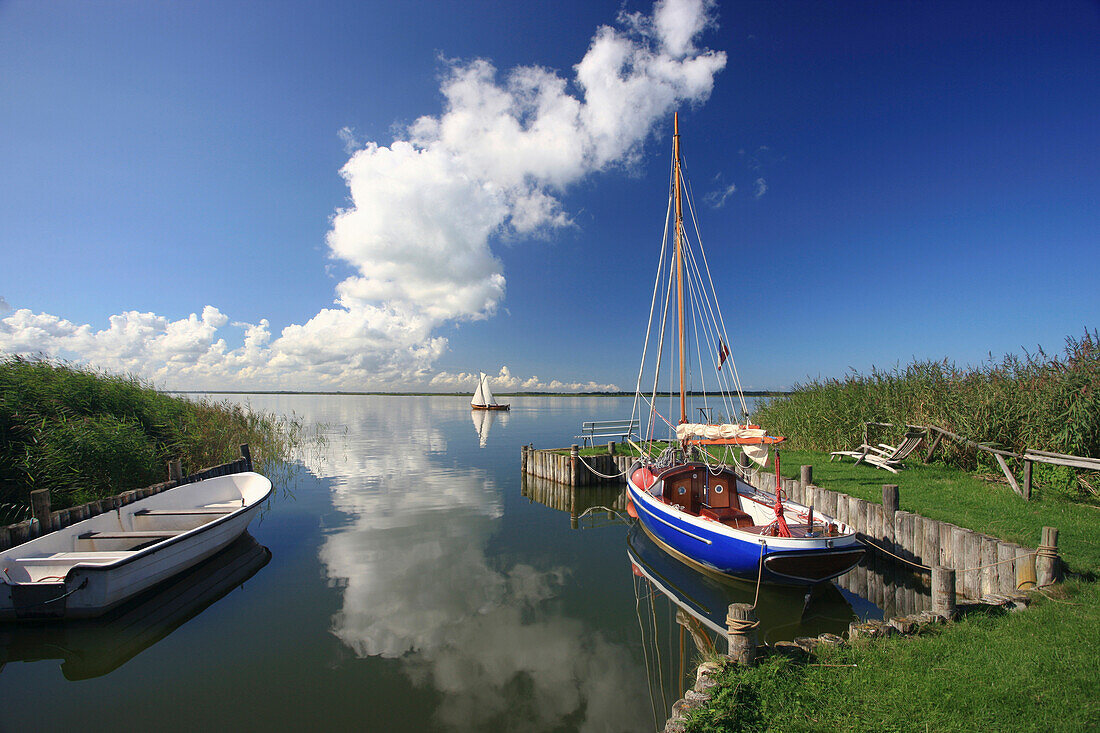 Small harbour in Wustrow, Saaler Bodden, Fischland-Darss-Zingst Peninsula, Baltic Sea Coast, Mecklenburg Vorpommern, Germany