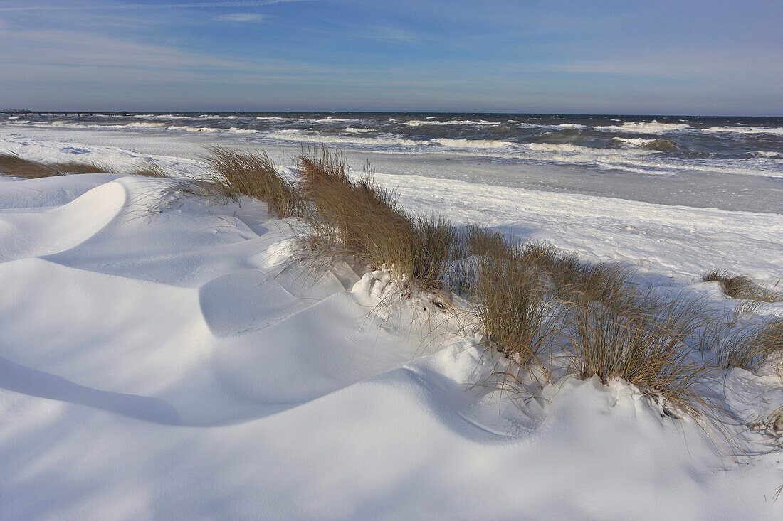 Dunes covered in snow in Winter, Heiligendamm, Baltic Sea Coast, Mecklenburg Vorpommern, Germany