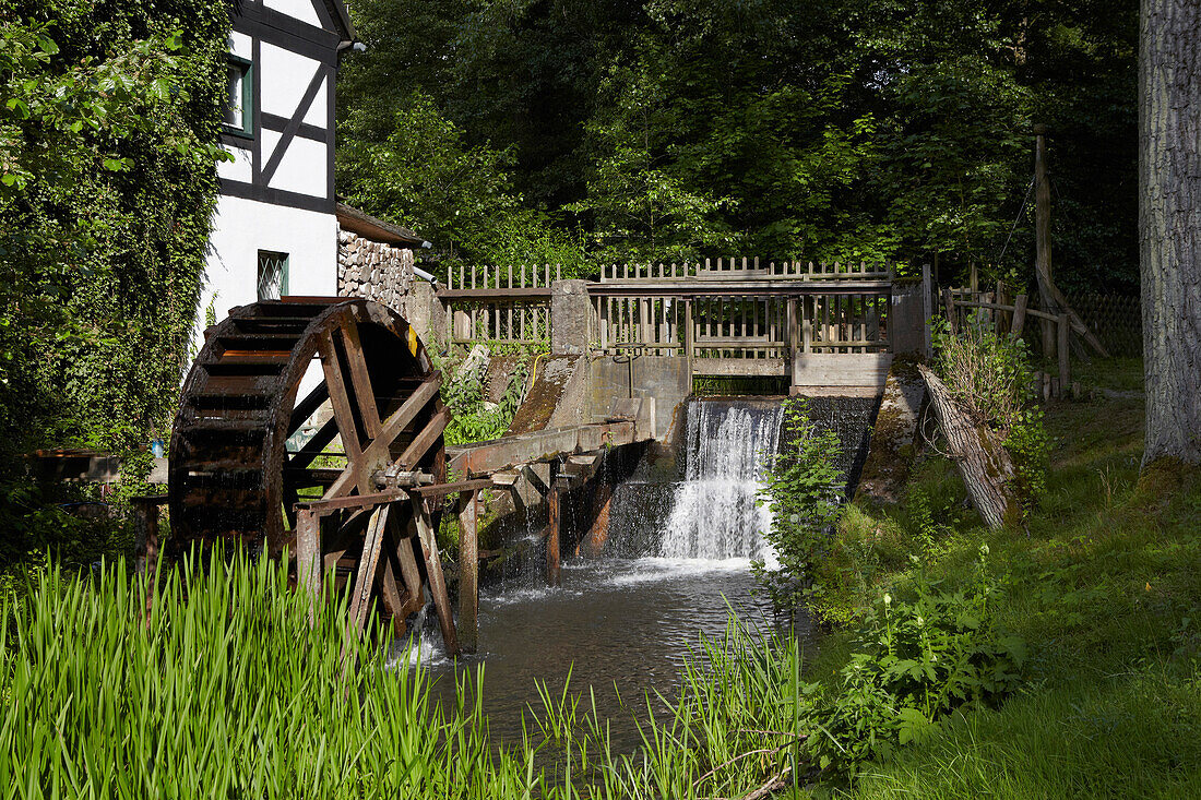 Schlaube river and Bremsdorf Mill, Schlaube Valley Nature park, Brandenburg, Germany