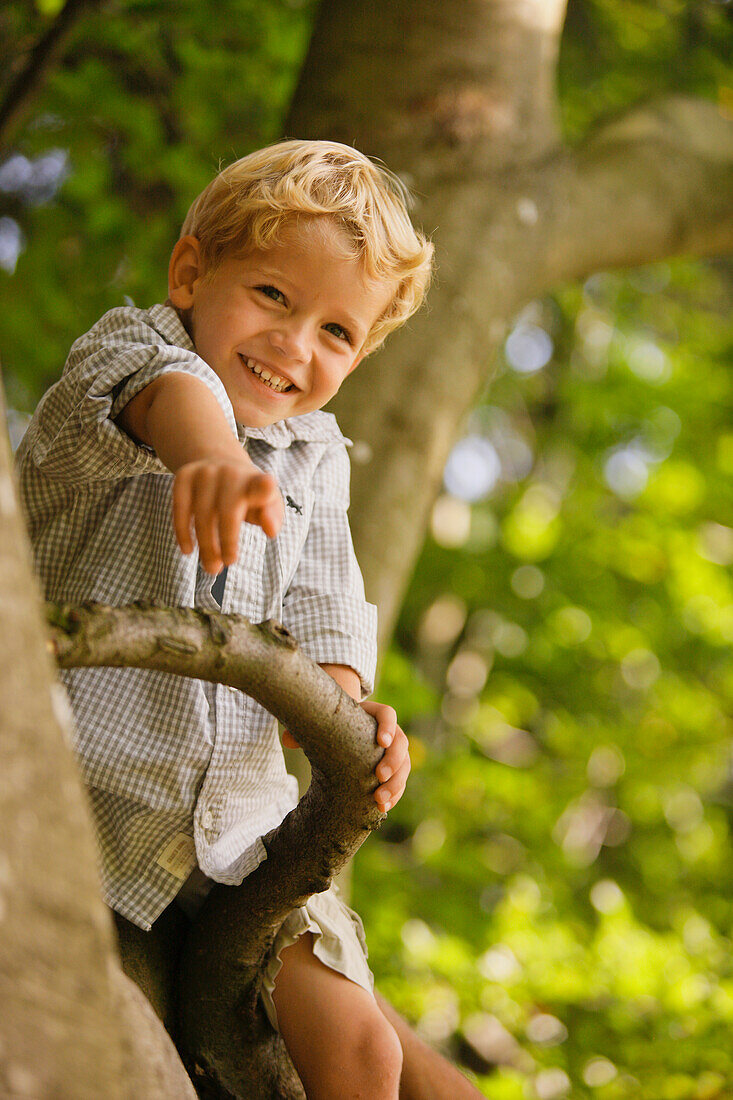 A boy sitting on the branch of a tree