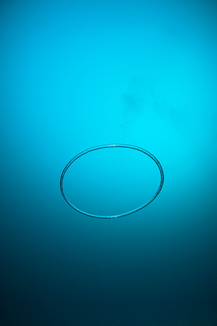 Underwater bubble ring made by Scuba Diver, Baa Atoll, Indian Ocean, Maldives