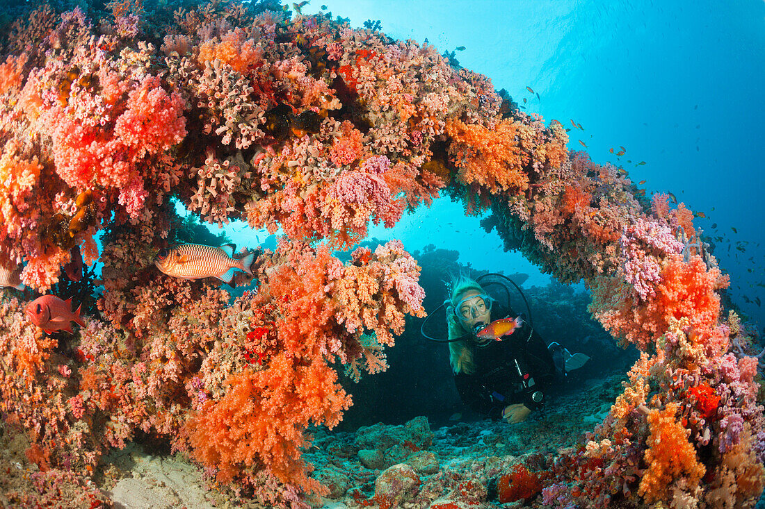 Diver at coral reef, North Male Atoll, Indian Ocean, Maldives