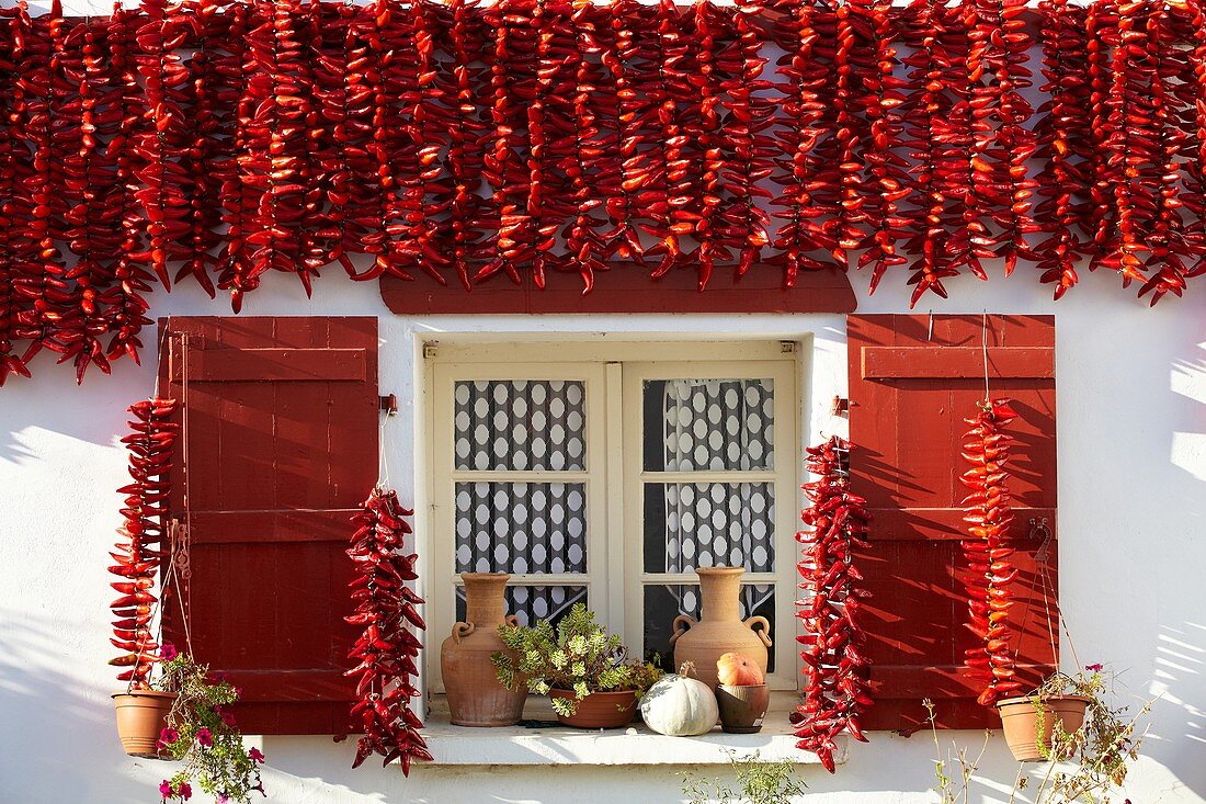 Espelette Peppers, Chilischoten zum Trocknen an den Hauswänden, Espelette, Aquitaine, Baskenland, Pyrenees Atlantiques, 64, Frankreich