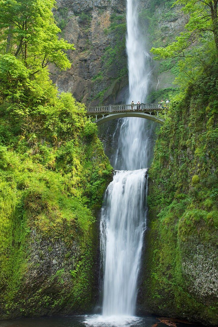 FOOTBRIDGE OVER MULTNOMAH WATERFALLS lLARCH MOUNTAIN COLUMBIA RIVER GORGE OREGON USA